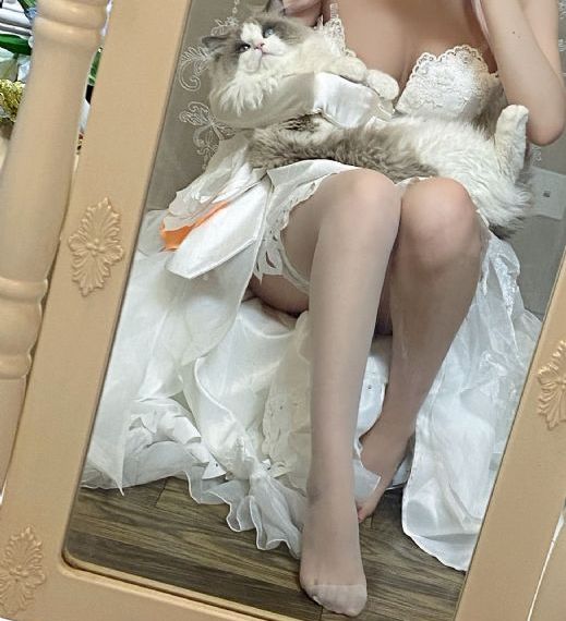 在线调教_BD国语在线观看电视